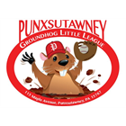 Punxsutawney Junior All-Stars