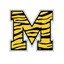 Maplewood Area High School 