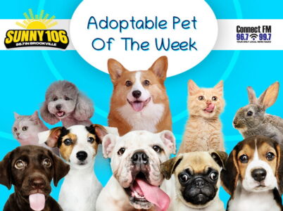 Adoptable Pet of the Week – Ester